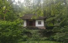 竹林景区