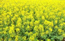 陆定一祖居陈列馆