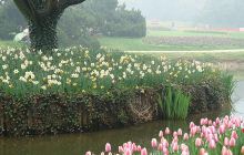 梅园横山风景区