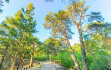 海拉尔国家森林公园