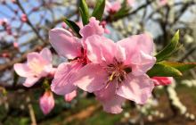 金家湾啤酒广场(烧烤)