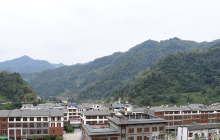 纳项