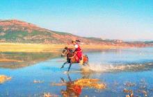 茶马古道安中马场