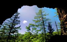 火山口地下森林