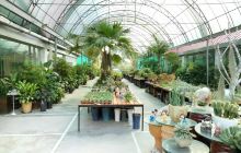 三水芦苞温泉度假村