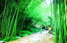 王府竹海度假旅游区