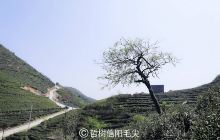 光山县古字画陈列馆