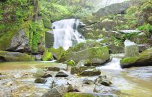 木王国家森林公园