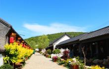 慧慧骨汤拉面(海事店)