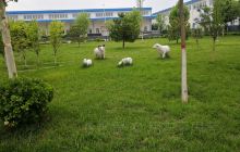 毛主席视察纪念馆(复兴东路)