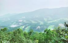 大屏障森林公园