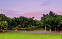 大象湖湿地公园