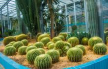 南亚热带植物园