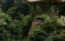 黑竹沟森林公园