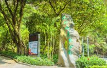 板樟山森林公园