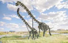 白垩纪恐龙地质公园