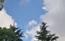 另肋韩国芝士肋排(即墨宝龙店)