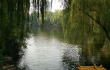 渝建根雕摆件