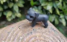 东湖公园-动物园