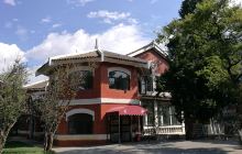 云南山茶-柳叶银红