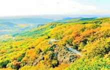 壹台山骆驼峰景区