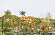 顺德花卉城吉维尼小镇