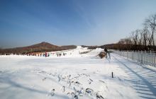 劳动公园冰雪乐园