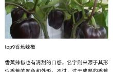 寒亭区基督教中心教堂
