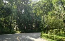 西樵山国家地质公园