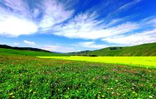 巩乃斯景区班禅沟