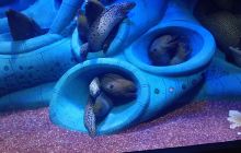 海澜水族馆