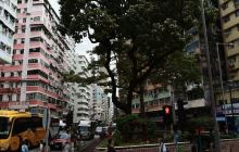 福荣街休憩花园