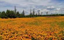 碱水河国家湿地公园