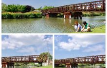 三垟湿地生态园