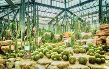 中国科学院华南植物园