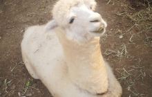 沈阳湿地科普馆