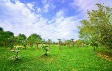 永宏水上娱乐城