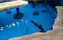 香港海洋世界水族馆