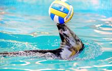 广元卡尔海洋世界