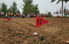 大连多彩燕园名校名树主题公园