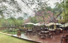 爱丽丝庄园樱花谷