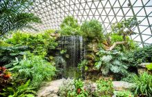 上海辰山植物园