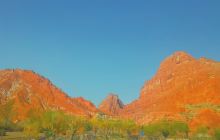 轮台县沙漠公园