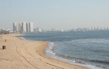 金海湾森林公园