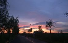 南阳市唐河万亩荷塘基地