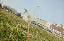 梦之旅中牟文化展览馆