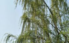 睢杞战役纪念馆