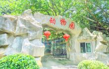 晋江市动物园