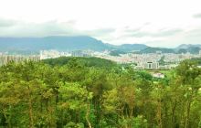 云浮市植物园