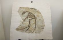 马驷骥根艺美术馆